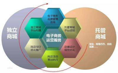 電子商務(wù)專業(yè) 實(shí)業(yè)運(yùn)營與建設(shè)的就業(yè)新藍(lán)圖